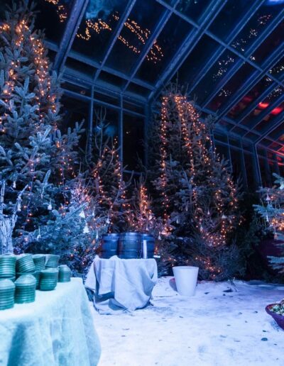 Fairy-Tale Party - Serre Ratti 3 organizzatori feste a tema - festa da favola 01