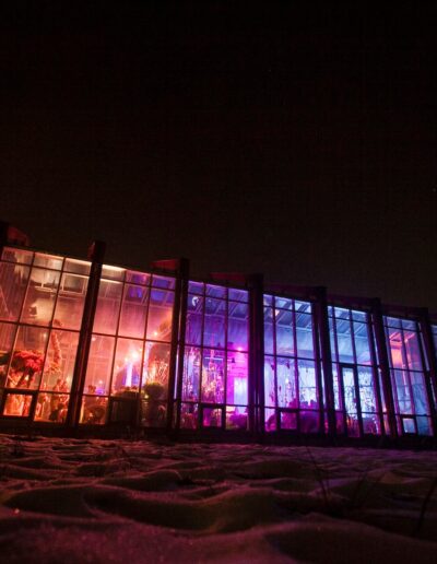 Fairy-Tale Party - Serre Ratti 20 organizzatori feste a tema - festa da favola