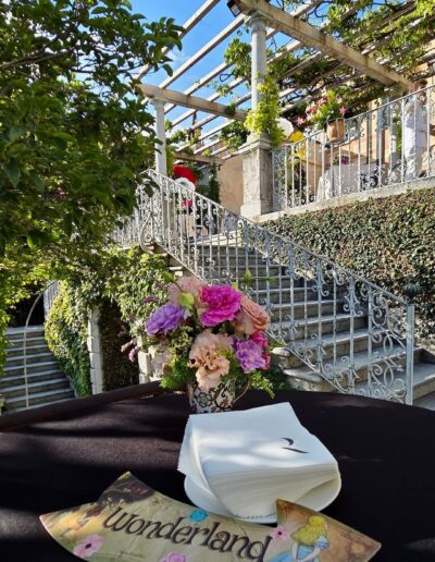 Performer per eventi - Alice in wonderLake