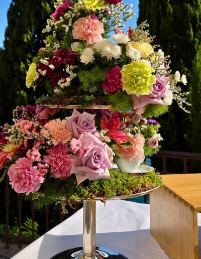 Performer per eventi - Alice in wonderLake