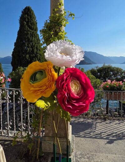 Performer per eventi - Alice in wonderLake