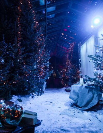 Effetti speciali 12 effetti speciali - nevicata