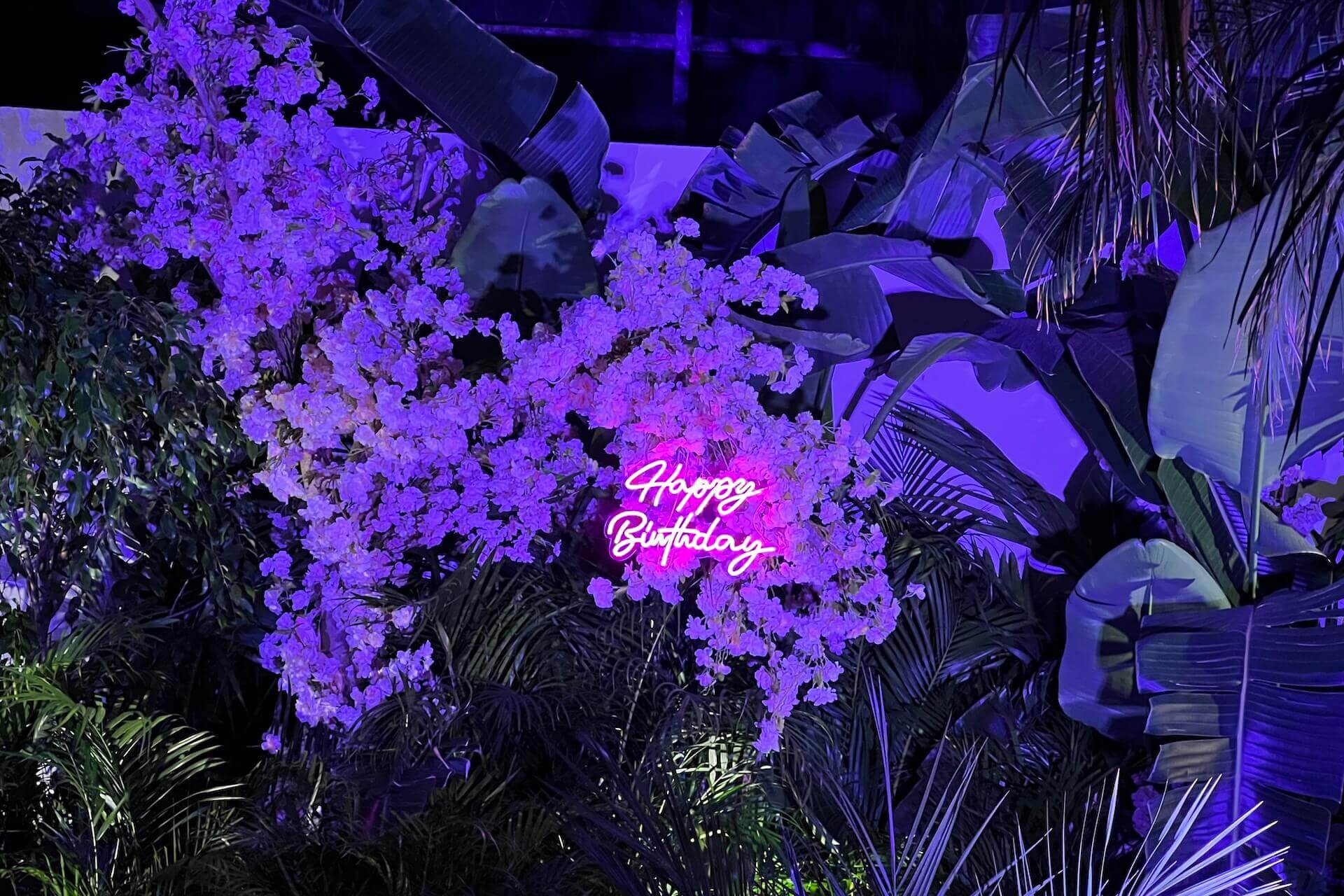 event designer - privati event designer - privati bday party